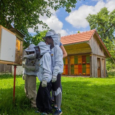 Beekeeping Kojek Ribnica Exterior foto