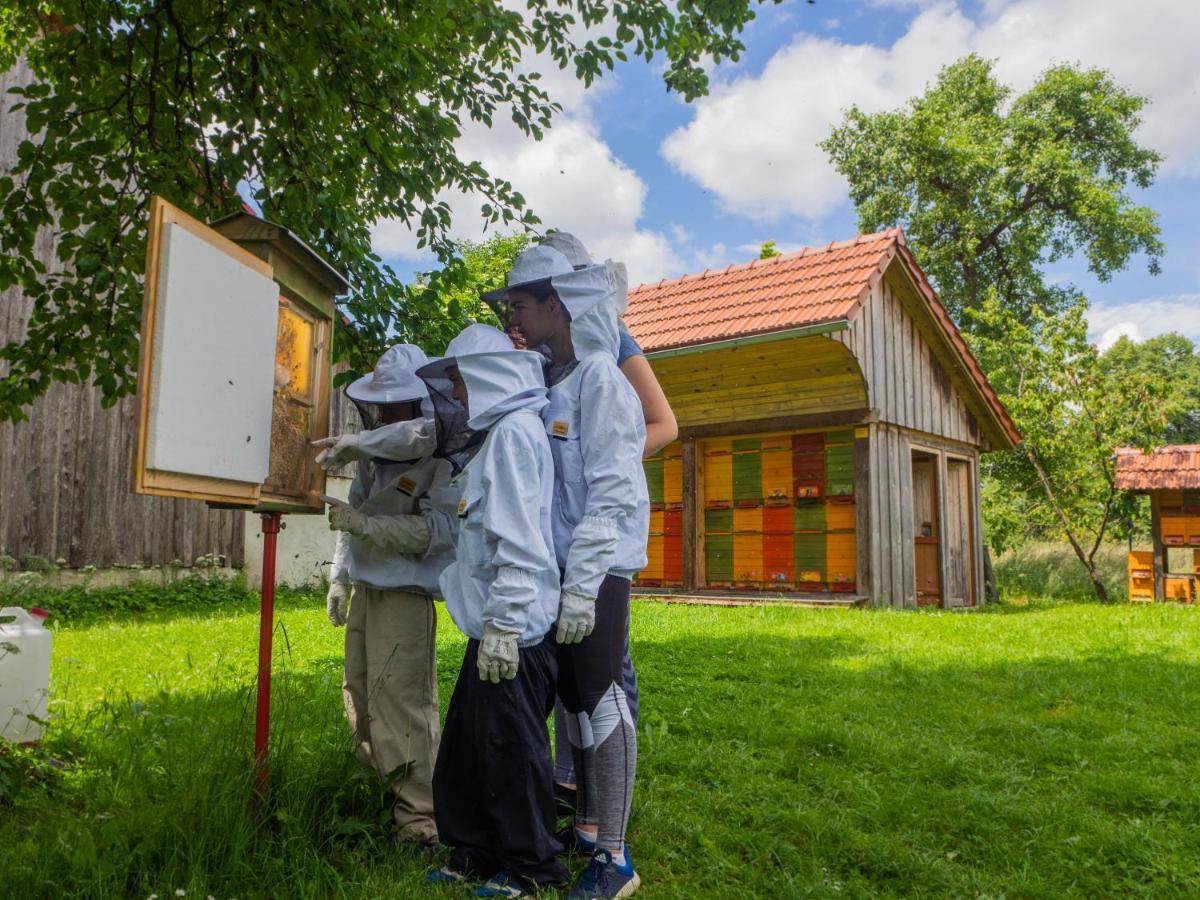 Beekeeping Kojek Ribnica Exterior foto
