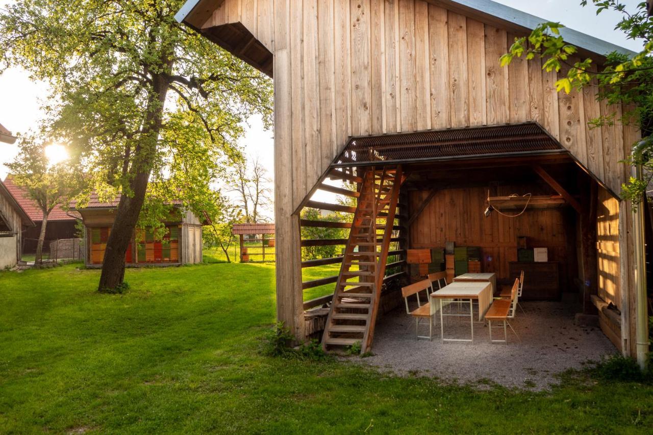 Beekeeping Kojek Ribnica Exterior foto